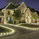 C9 Christmas Pathway Lights with Stakes,Cold White,30 Ft 20 Strawberry LED Bulbs,Connectable Shatterproof Outdoor Lights Marker for Xmas Yard Garden Path Lawn Walkway Sidewalk by GreenHaven Gardens