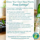 Houseplant Prop Drops - Propagation Promoter & Root Growth Hormone | Root Stimulator for Cuttings | Supports Stronger, Healthier Plants | Easy-to-Use Liquid Formula for Water & Soil Propagation | 8oz