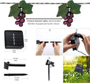 keeda Solar String Lights with Vines, Waterproof 80 LED Grape String Lights Outdoor Patio Light for Bistro Backyard Umbrella Balcony Garden Wedding (Purple) by GreenHaven Gardens