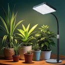 FECiDA Grow Lights for Indoor Plants Full Spectrum, Desk Grow Light, 4/8/12 Hr Timer Table Top Houseplants Grow Lamp, 208PCS LEDs, 2000 Lumen, Bright Enough, 16"-24" Height Adjustable by GreenHaven Gardens