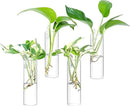 Ivolador Wall Plant Propagation Station Hanging Glass Planter Vase Terrarium Container Cylinder Shape Perfect for Propagating Hydroponic Plants Home Office Garden Decor Wedding-4PCS by GreenHaven Gardens