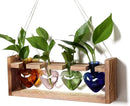 Plant Propagation Stations Heart Plant Terrarium Kit Gift for Women Plant Lover Glass Vases by GreenHaven Gardens