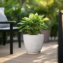 10 Inch Plant Pot Ceramic Planter Pot with Drainage Hole and Saucer Round Planter Large Flower Pot for Indoor Outdoor Plants Home Garden Decor White by CozyNest Decor
