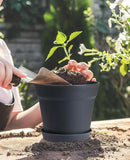 homenote Pots for Plants, 15 Pack 6 Inch Plastic Planters with Multiple Drainage Holes and Tray,Plant Pots for All Home Garden Flowers Succulents (Black) by CozyNest Decor