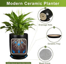 Ceramic Planter 10 Inch - Ceramic Pot for Indoor Plants Outdoor Plant Pot with Drainage Hole and Saucer Cylinder Flower Pot Black by GreenHaven Gardens