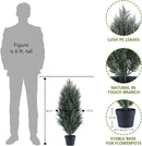 THE BLOOM TIMES 3ft Topiary Trees Artificial Outdoor 2 Pack – UV Resistant Faux Cedar Pine Cypress Bushes and Shrubs, Fake Potted Plants for Front Porch Outside Planter Patio Decor, Set of 2 (3 Foot) by GreenHaven Gardens