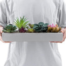 MyGift 15 Inch Mixed Color Assorted Artificial Succulent Plant Arrangement in Modern Gray Clay Planter Tray by CozyNest Decor