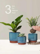 LE TAUCI Ceramic Plant Pots with Drainage Holes, Set of 3, 8+6.7+5.5 Inch Stripe Garden Planter Pots for Outdoor Indoor Plants Flower, Round Succulent Orchid Flower Pot, Reactive Glaze Black by GreenHaven Gardens