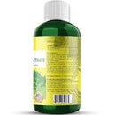 Organic Premium Seaweed Fertilizer - Liquid Kelp Plant Food for Aroid Houseplants: Monstera, Philodendron, Pothos, ZZ Plant, Dieffenbachia, Alocasia, Caladium (16 OZ) by GreenHaven Gardens
