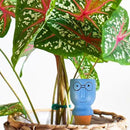 4 Pack Terracotta Watering Spikes, Vacation Self-Watering Planters Devices - Continuous Moisture with Slow Release Watering System - Perfect for Indoor Outdoor Plants (Big Head) by GreenHaven Gardens