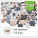 2.5 lbs Small Rocks for Plants, 1/5 Inch Pebbles for Indoor Plants, Natural Decorative Pea Gravel for Aquarium, Fish Tank, Terrarium, Succulents, Bamboo Plants, Vases, Cactus, Crafts by CozyNest Decor