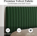 Queen Size Bed Frame, Velvet Upholstered Platform Bed with Vertical Channel Tufted Headboard and Footboard, No Box Spring Required, Easy Assembly, Green by CozyNest Decor