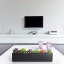 Modern Black Trough Rectangular Planter, 16“ Metal Window Planter Box for Succulent, Small Rectangle Box for Desk or Windowsill, Stainless Steel, Great Gift Ideas for Women Men by GreenHaven Gardens