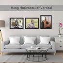 VCK 16x20 Poster Frames 3 Pack Black MDF Wood and Polished Plexiglass Frame,Display Pictures in Horizontal and Vertical by CozyNest Decor