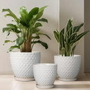 G EPGardening 10 Inch Plant Pot Ceramic Pots for Plants Indoor Outdoor Plant Pots with Drainage Hole and Saucer Round Large Flower Pot for Home Garden Office White by CozyNest Decor