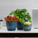 Ceramic Plant Pots with Drainage Holes and Saucers, Round Blue Flower Pots for Indoor Plant, Diameter 3.3/4.3/5.5 Inches Small Mini Flower Planters Set of 3 by CozyNest Decor