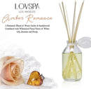 LOVSPA Reed Diffuser Set, Amber Romance Scented Oil Diffuser with Sticks, Home Fragrance Accessories for Bathroom Shelf Decor, Aroma Diffusers for Home or Office Fall Decor, USA Made by CozyNest Decor
