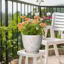 Ceramic Pots for Plants - 8 Inch Plant Pot with Drainage Hole and Saucer Large Planter Pot for Indoor Plants Outdoor Modern Flower Pot Home Decor White by CozyNest Decor