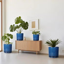 6 Inch Plant Pot - Ceramic Planter for Outdoor Plants Indoor Plant Pot with Drainage Holes and Saucer Succulent Pot Modern Round Flower Pot for House Room Decor Blue by GreenHaven Gardens