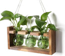 Plant Propagation Station Plant Terrarium Unique Birthday Gifts for Women Plant Lovers Home Office Decor Planter with Wooden Stand - 3 Bulb Glass Vase by GreenHaven Gardens