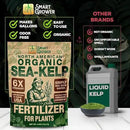 Organic Sea Kelp Fertilizer for Plants – Water-Soluble – Makes 100 Gallons – Kelp Meal Concentrate Plant Food – for Indoor Gardens, Hydroponics, Vegetables, Houseplants - Smart Grower - 4oz Bag by GreenHaven Gardens