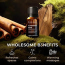 Gya Labs Cinnamon Essential Oil for Diffuser - 0.34 Fl Oz - 100% Pure Natural Cinnamon Bark Essential Oil for Skin, Hair, Lips Body & Candle Making Scent by CozyNest Decor