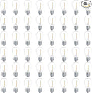 Meconard 48 Pack S14 LED String Light Bulbs, 1 Watt Shatterproof Replacement Bulbs for Patio Outdoor Sting Lights, E26 Medium Screw Base, Warm White 2200K, Non-Dimmable by GreenHaven Gardens
