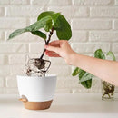 White Self Watering Pots with Drainage Planting Pot for HousePlants Plastic Flower Pots Outdoor Plant Pots Gift Idea Decorative Flower Pots Draining Pots for Indoor Plants