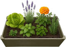 Raised Garden Bed - 2x4 ft Planter Box - Weathered Wood HDPE - No Tools Needed - DIY Kit for Urban Gardening, Flowers, Herbs & Vegetables - Made in The USA by GreenHaven Gardens
