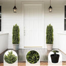 4ft Artificial Boxwood Topiary Trees (Set of 2) - UV Resistant Faux Plants for Outdoor/Indoor, Realistic 48in Fake Bushes and Shrubs for Front Porch, Planter, Patio - Low Maintenance & Evergreen by GreenHaven Gardens