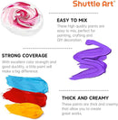 Shuttle Art Acrylic Paint, 24 Colors Acrylic Paint Bottle Set, 250ml/8.45oz Each, Rich Pigments, High Viscosity, Bulk for Artists, Beginners and Kids Painting on Rocks Crafts Canvas Wood by TinyTreasures Baby Boutique