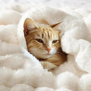 BEDELITE Faux Fur Throw Blanket for Couch, Soft and Cozy Luxurious 3D Striped Fluffy Blanket, 770GSM Thick Warm Plush Fuzzy Faux Rabbit Fur Blanket for Women Gift (Cream, 60"x 80") by CozyNest Decor
