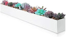 DR&Co Modern Rectangle Planter Box - 32" Metal Planter Ideal for Long Succulent, Rectangular Box for Table or Window Sill, Trough for Indoor Window, White by GreenHaven Gardens