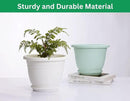 5 Packs 10 inch Plant Pots + Saucer, Planters for Indoor & Outdoor Plants with Drainage Holes | Plastic Flower Pots, Large Planter (Light Green, 10 inch) by GreenHaven Gardens