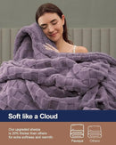 Pawque Super Soft Cozy Throw Blanket Twin Size for Couch Bed, Fluffy Sherpa Fleece Reversible Thick Warm Fuzzy Blanket for All-Season, 3D Checkered Jacquard Decorative Blankets, Purple, 60" x 80" by CozyNest Decor