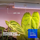 Barrina Grow Lights for Indoor Plants, Full Spectrum Sunlight, 2ft 40W (4 x 10W, 250W Equivalent), LED Grow Light Bulbs, T5 Grow Lights, Plug and Play, Pinkish White, 4-Pack by GreenHaven Gardens