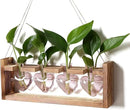 Plant Propagation Stations Heart Plant Terrarium Kit Gift for Women Plant Lover Glass Vases by GreenHaven Gardens