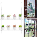 2-Tier Clear Hanging Window Plant Shelves 16inch,Indoor Windows Wall Hanging Plant Stand Flower Display,Flower Pot Organizer Storage for Window Grow Herbs,Microgreens,Succulents,Flower by GreenHaven Gardens