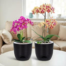 QCQHDU 2 Pack Orchid Pots with Holes for Repotting, Double-Layer and Self Watering Orchid Pot with Good Air Circulation by GreenHaven Gardens