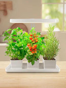 TORCHSTAR Indoor Herb Garden with LED Grow Light, Height Adjustable, 20W Growing System with Automatic Timer, CRI 95+, Full Spectrum Plant Light for Seeds, Vegetation, Home, White, No Pots or Plants by GreenHaven Gardens
