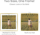 Homeforia 14x14 Picture Frame Gold, High End Metal 14 x 14 Square Poster Frame with Mat 12 x 12 Photo, 14x14 Frame Matted to 12x12 Print, 14by14 Gold Hanging Frames, Tempered Glass, Wall Kit, Set of 1 by CozyNest Decor