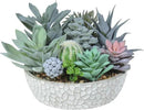 Premium Assorted Artificial Succulent Collection - Large Real Touch Artificial Cactus, Aloe Vera & Succulent Plants Artificial with Pots for Home Office Indoor (Artificial Glass - Pot) by CozyNest Decor