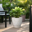 10 Inch Plant Pot Ceramic Planter Pot with Drainage Hole and Saucer Round Planter Large Flower Pot for Indoor Outdoor Plants Home Garden Decor White by GreenHaven Gardens