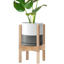 D'vine Dev Ceramic Planter with Natural Stand - 8 Inch Modern Round Flower Pot with Wood Planter Holder, White/Grey, 55-B-N-6 by CozyNest Decor
