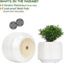 8 Inch + 6 Inch Ceramic Plant Pots Indoor with Drainage – Flower Pot Set, Decorative Indoor Planters for House Plants and Garden Use by CozyNest Decor