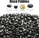 River Rocks 5 Lb, Pebbles for Indoor Plants 0.5"-1.4", Black Rocks for Outdoor Landscaping, Decorative Stones Vase Filler, Fish Tank, Fountain, Succulents, Flower Bed, Black by GreenHaven Gardens