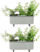 Vego garden 2 Pack Herb Indoor Plant Box, Self Watering Planters Pots for Indoor Plants with Trellis for Kitchen Window Sill or Countertop Plants Cage - Fog Gray by GreenHaven Gardens