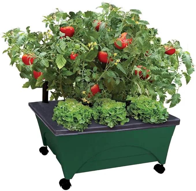 Emsco Group 2341-1HD City Picker Raised Bed Self Watering and Improved Aeration – Mobile Unit with Casters-Hunter Green Grow Box and Seed Starter