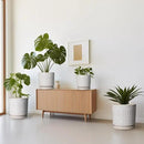 Ceramic Planter Pot - 10 Inch Plant Pot for Indoor Outdoor Plants Round Large Flower Pot with Drainage Holes and Saucer for Home Garden Patio Decor White by GreenHaven Gardens
