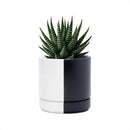 D'vine Dev 4.7 Inch Ceramic Planter Pot with Drainage Hole and Saucer, Indoor Cylinder Round Planter Pot, Split Monochrome Black & White, 94-O-B-0 by GreenHaven Gardens